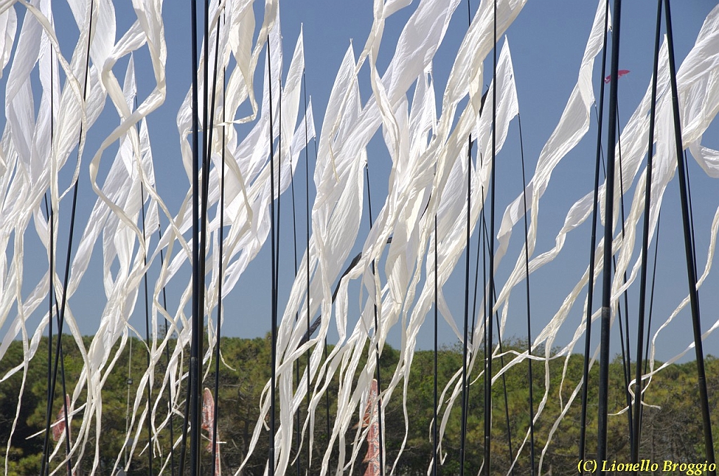 32 FESTIVAL CERVIA 2012 - 038.jpg